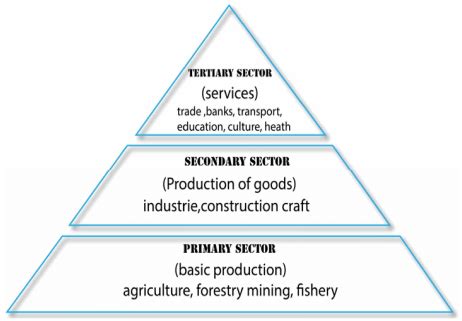 Different types of sectors in an economy - INSIGHTSIAS