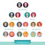 unraveling  family web understanding degrees  consanguinity
