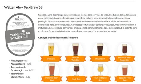 Explorando os diferentes tipos de fermentação da cerveja O Contador