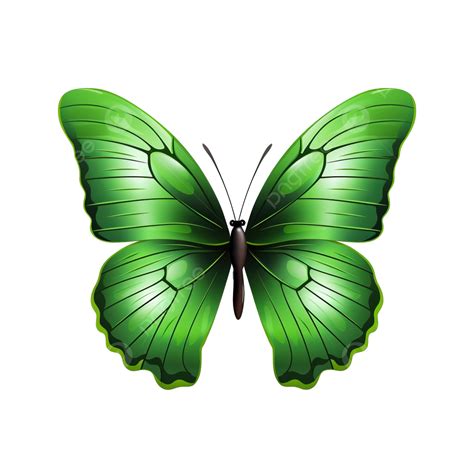 Clip Art De Mariposa Rosa Y Verde