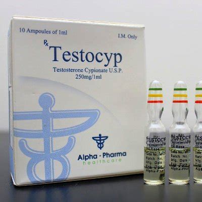 Testocyp Cipionato 250mg 10ml Alpha Pharma Inkafit