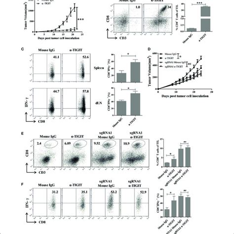 Tigit Blockade Elicit Anti Tumor Effects In Colorectal Cancer Mouse Download Scientific