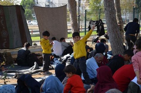 Didim de 149 düzensiz göçmen yakalandı Son Dakika Haberleri İnternet