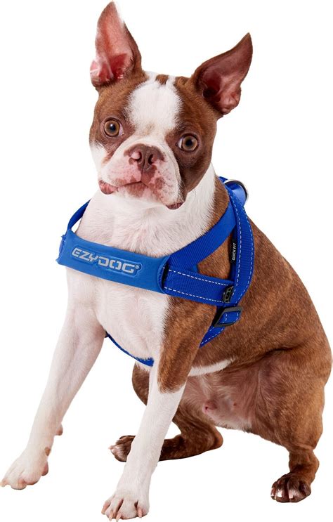 EzyDog Quick Fit Dog Harness, Blue, Medium - Chewy.com