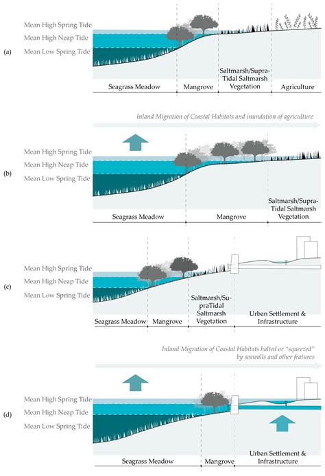 Sea level rise will permanently change jupiter inlet tides patterns 4