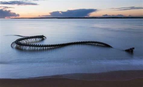 Terrifying Underwater Shark Statue At Lake Neuchatel In Switzerland And