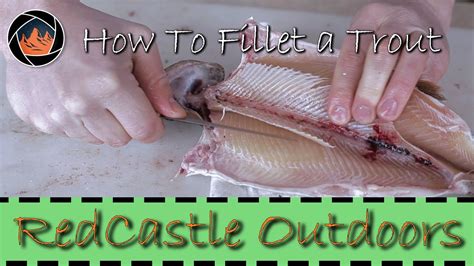 How To Fillet A Trout The Right Way YouTube