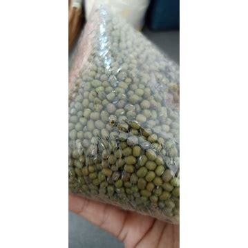 Jual Kacang Hijau Kg Shopee Indonesia