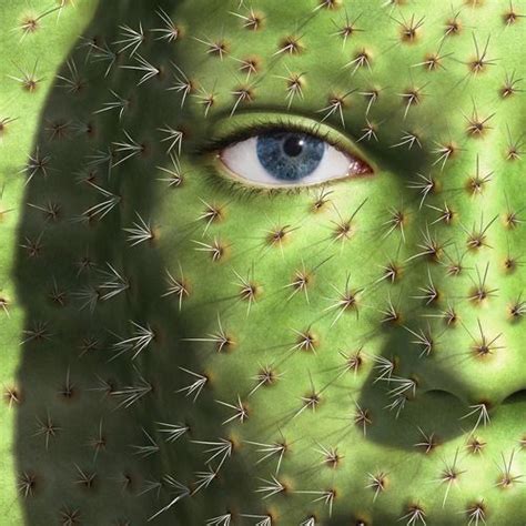 Pin By Lydia Van Alsenoy On Cactus Cactus Art Cactus Fashion Mixed