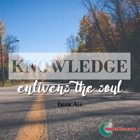 30 Inspiring Islamic Quotes On Education Knowledge Study