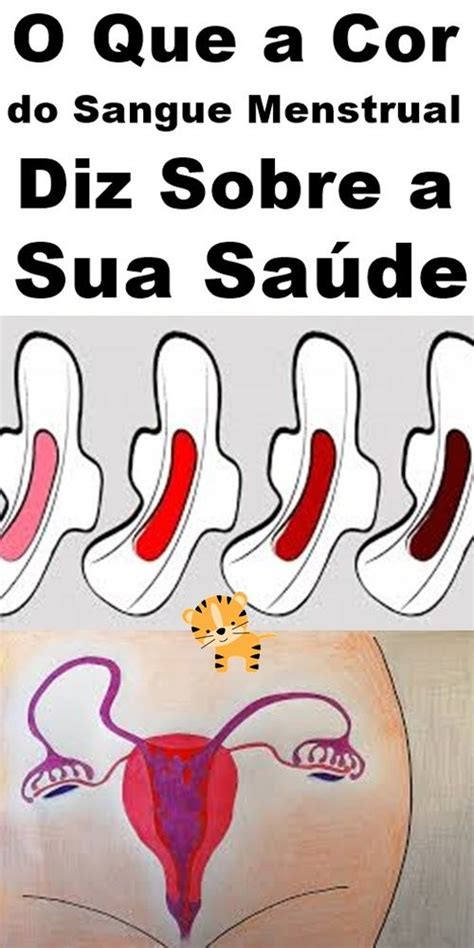 O Que a Cor do Sangue Menstrual Diz Sobre a Saúde em 2020 Saúde