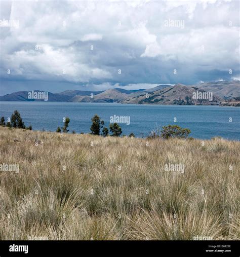 Peru : Lake Titicaca Stock Photo - Alamy