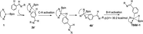 Mechanistic Study Of The Ligand Controlled Regioselectivity In Iridium