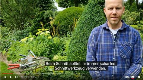 Pflegeschnitt An Buchsbaum Gartenberatung Im Verband Wohneigentum E V