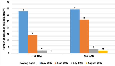 The Influence Of Sowing Dates On The Number Of Branches Of Roselle