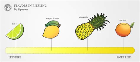 The Essential Guide to Riesling Wine | Wine Folly