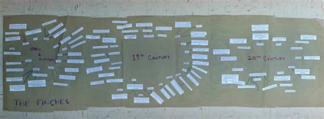 Biogeography History Concept Maps - UCF d3 ecology labUCF d3 ecology lab