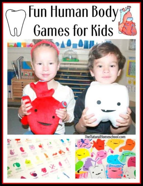 Human Body Games for Kids - The Natural Homeschool