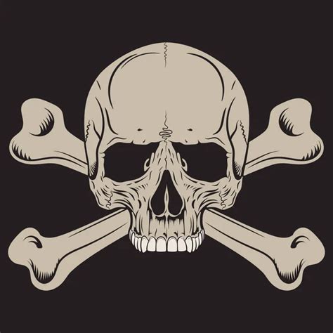 Human Skull And Crossbones Stock Vector Image By ©bourbon 88 158919262