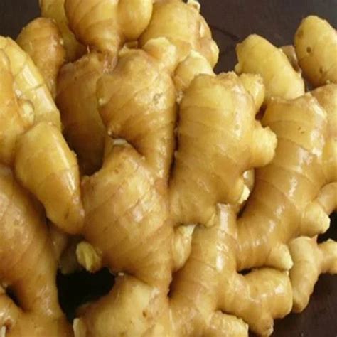 Organic Ginger At Best Price In Bankura West Bengal Souri Enterprises