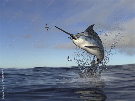 Beatiful Marlin Swordfish Jumping Out Of Water To Catch Flying Fish 3d