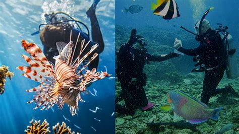 Destinasi Wisata Wakatobi Salah Satu Surga Diving Terbaik Di Dunia