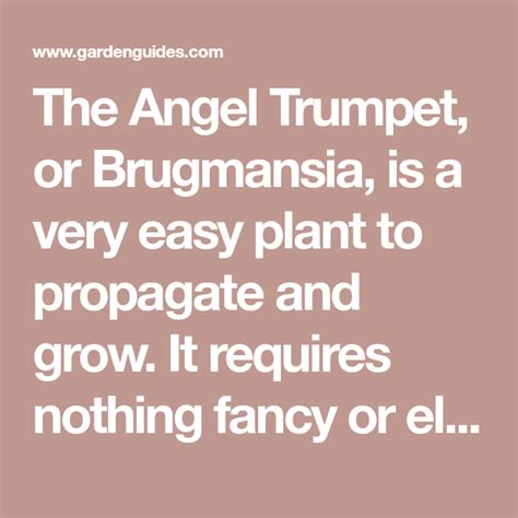 Easy Propagation of Angel Trumpet Plants