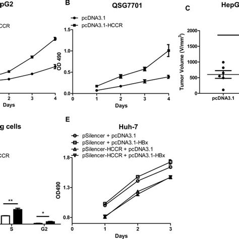 The Tcf Catenin Signaling Pathway Plays A Role In The Hbx Mediated