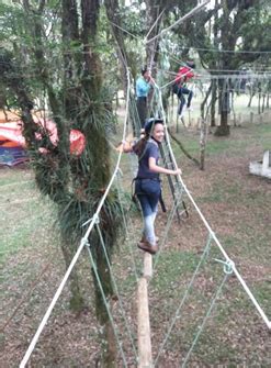 Escoteiros De Palmas Participam De Evento Nacional Grupo Rbj De