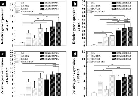 Gene Expression Of Alp A Ibsp B Runx2 C And Bmp 2 D Of The Download Scientific