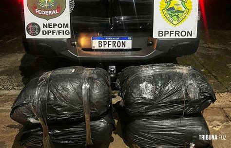 Bpfron E Pf Apreendem Kg De Maconha Tipo Capulho No Porto Do