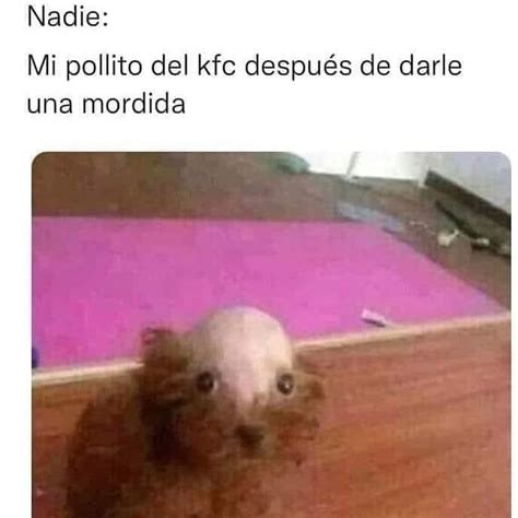 Nadie Mi pollito del kfc después de darle una mordida Memes