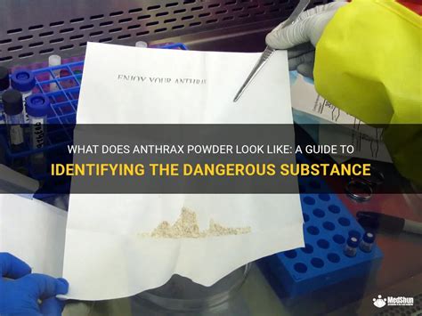 What Does Anthrax Powder Look Like A Guide To Identifying The Dangerous Substance Medshun