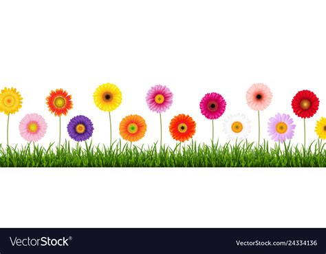 Gerber Daisy Border Clipart 10 Free Cliparts Download Images On