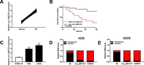 CircRNA Circ 0001721 Promotes The Progression Of Osteosarcoma Through