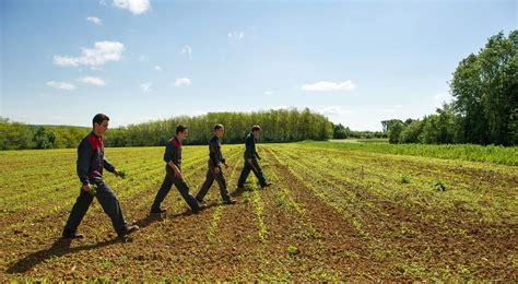 Portrait De Lenseignement Agricole En