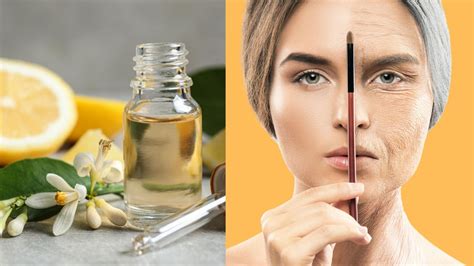 42 de production de collagène l actif naturel qui booste la fermeté