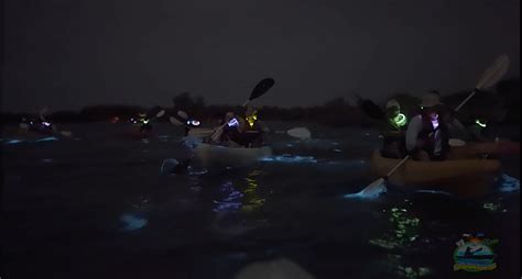 Best Bioluminescence Tour In Orlando Florida Bk Adventure