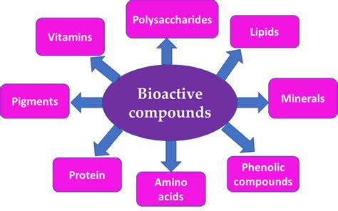 Main Bioactive Compounds From Marine Seaweeds Download Scientific