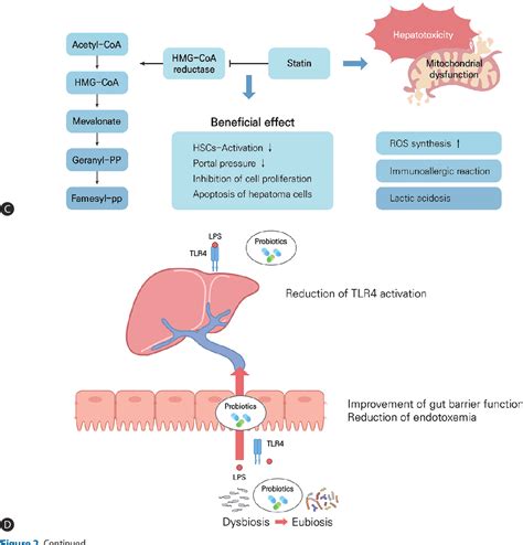 Figure 2 From Fatty Liver And Risk Of Dementia NAFLD Increases A Risk