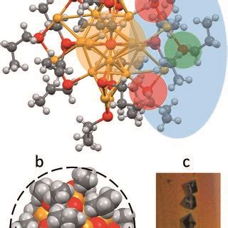 a Projection showing the X ray crystal structure of Au25 SPr ⁰18 Au