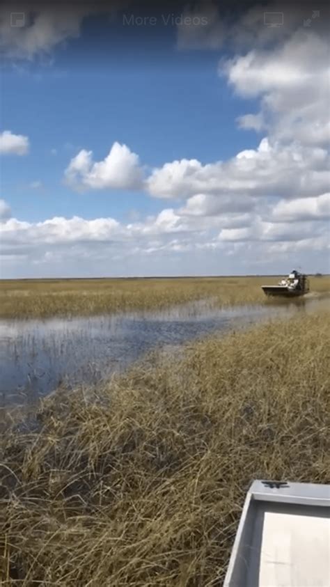 everglades airboat tour - Airboat In Everglades