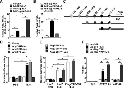 Yes Associated Protein Promotes Angiogenesis Via Signal Transducer And