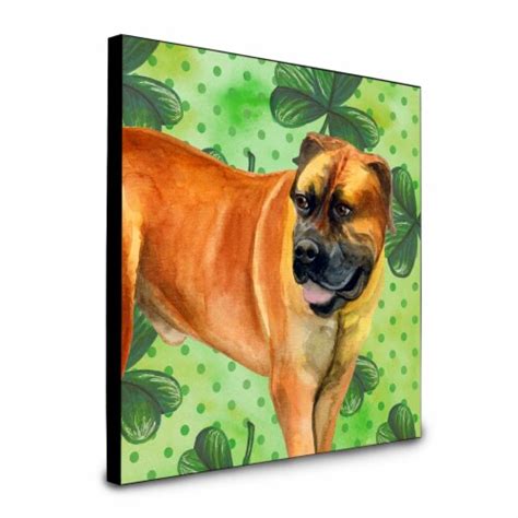 Boerboel Mastiff St Patrick S Artwork Wall Panel 1 Fred Meyer