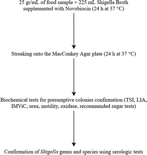 Flowchart Of Culture‐based Methods For Detection And Identification Of Download Scientific