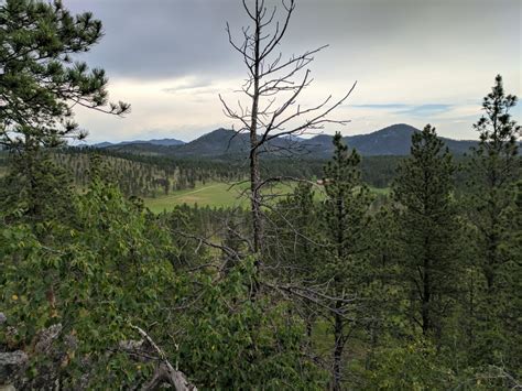 Camping In Black Hills National Forest South Dakota Travels In Liberty