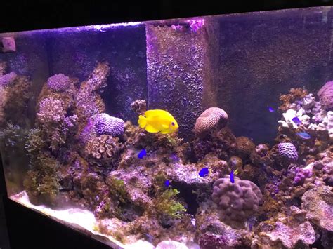 Cook Islands Museum of Cultural Enterprise - TE ARA | Cook Islands