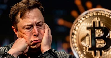 Elon Musk Remove Emoji Do Bitcoin Do X Twitter E Comunidade Cripto Fica