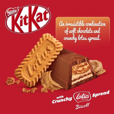 شکلات کیت کت چانکی لوتوس باکس 24 عددی KitKat chunky lotus biscoff