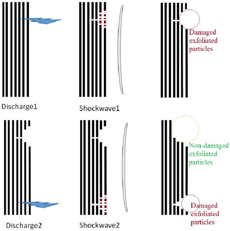 Hypothetical Schematic Sequential Events Describing The Suggested